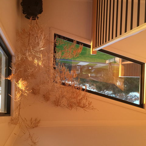 Barefoot Beach Stays - Accommodation in Brisbane 1