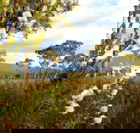 Buttongrass Retreat - Accommodation in Brisbane