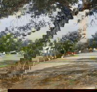 Country Acres Caravan Park - Accommodation in Brisbane