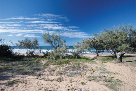 Deepwater National Park Camping - Accommodation in Brisbane 0