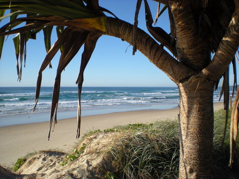 Horizons At Peregian - Accommodation in Brisbane 0