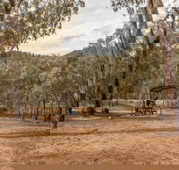 Pinch River campground - Accommodation in Brisbane