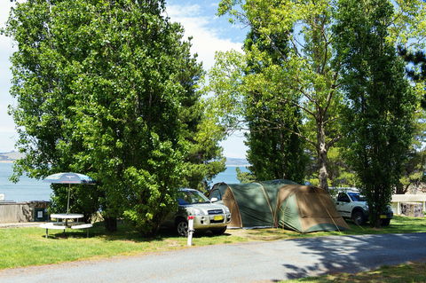 Rainbow Pines Tourist Caravan Park - Accommodation in Brisbane 1