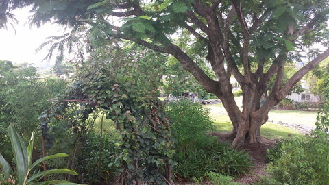 Rosehill Apartments - Accommodation in Brisbane 2