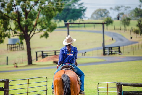 Tobruk Sydney Farm Stay - Accommodation in Brisbane 0