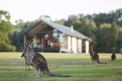 Yering Gorge Cottages - Accommodation in Brisbane 0