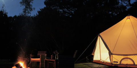 Zeehan Bush Camp - Accommodation in Brisbane 1