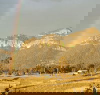 Annabilla Farm Stay - Accommodation in Brisbane