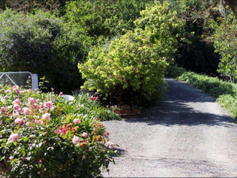 Brown's House Bed & Breakfast - Accommodation in Brisbane 2