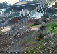 Bush and Bay Cottage - Accommodation in Brisbane