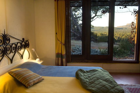 Kangaroos In The Top Paddock - Accommodation in Brisbane 1