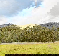 Mountain Arm campground - Accommodation in Brisbane