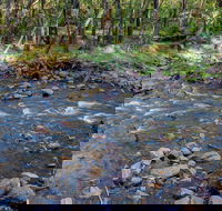 Toorooroo campground - Accommodation in Brisbane