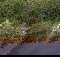 Two Mile Sands campground