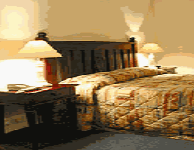 Comfort Inn Treetop Walk