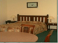 Comfort Inn Treetop Walk - Accommodation in Brisbane 3