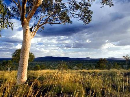 Karijini Eco Retreat - Accommodation in Brisbane 5