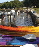 Turner Caravan Park - Accommodation in Brisbane 1