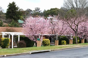 White Lanterns Motel - Accommodation in Brisbane 1