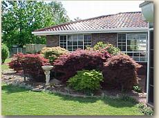 Creature Comforts - Accommodation in Brisbane 0