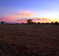 Wogarno Homestead - Accommodation in Brisbane