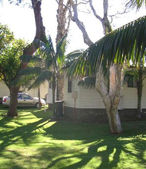 Arrawarra Beach Holiday Park - Accommodation in Brisbane 1