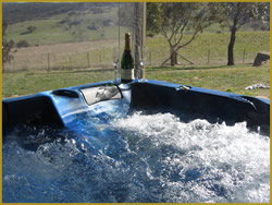 Henlie Park Bed & Breakfast - Accommodation in Brisbane 1