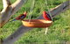Henlie Park Bed & Breakfast - thumb 3
