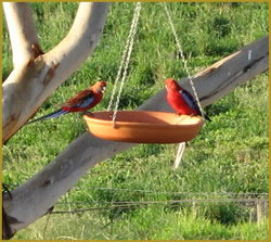 Henlie Park Bed & Breakfast - Accommodation in Brisbane 3