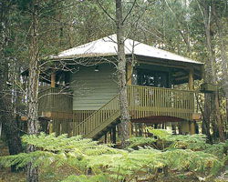 Possums Hideaway - Accommodation in Brisbane 0