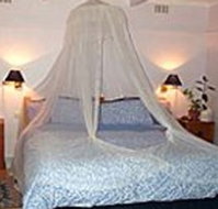 Bondi Beach Garden Sweet - Accommodation in Brisbane