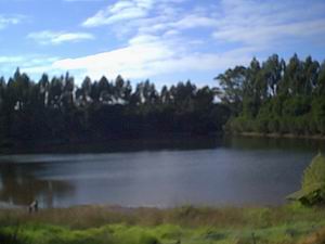 Jenny's Lake Farm B&B - Accommodation in Brisbane 5