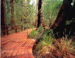 Coalmine Beach Holiday Park - Accommodation in Brisbane 3