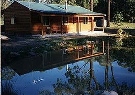 Bush Haven - Accommodation in Brisbane 2
