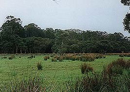 Bush Haven - Accommodation in Brisbane 4