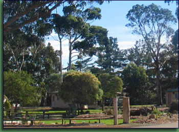 Kalgan River Chalets And Caravan Park - Accommodation in Brisbane 0