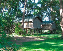 Lions Den Hotel - Accommodation in Brisbane 3