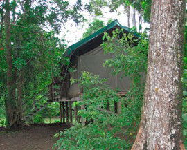 Lions Den Hotel - Accommodation in Brisbane 4