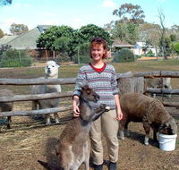 Kemminup Farm - Accommodation in Brisbane