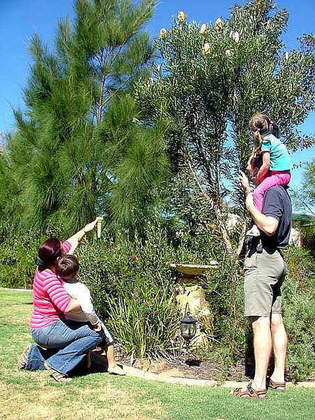 The Pavilion Bed And Breakfast - Accommodation in Brisbane 3