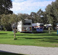 Pinjarra Caravan Park - Accommodation in Brisbane