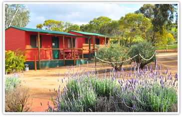 Toodyay Caravan Park - Accommodation in Brisbane 2