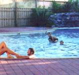 Shark Bay Caravan Park - Accommodation in Brisbane