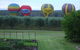 Adina Vineyard & Olive Grove - thumb 1