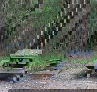 Boundary Falls campground and picnic area - Accommodation in Brisbane
