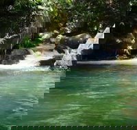 Daintree Secrets Rainforest Sanctuary - Accommodation in Brisbane