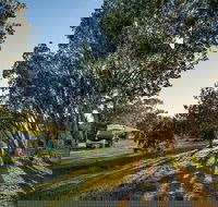 Delicate campground - Accommodation in Brisbane