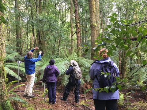 Forest Walks Lodge - Eco-Accommodation - Accommodation in Brisbane 1