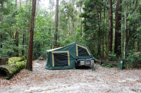 K'gari (Fraser Island) Camping, Great Sandy National Park - Accommodation in Brisbane 2