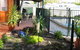 Molliejay Bed And Breakfast - thumb 0
